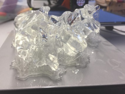 Uncured resin vertebrae with printing supports